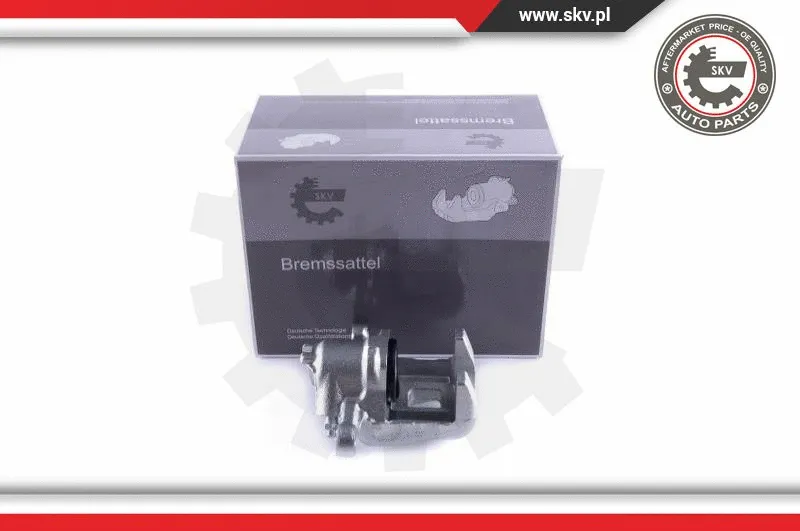 Brake Caliper (55SKV084)