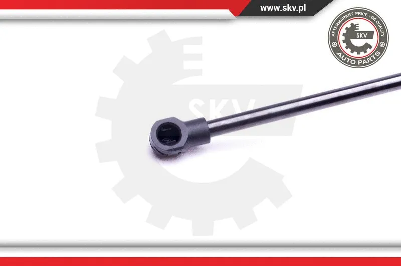 Gas Spring, boot/cargo area