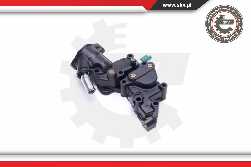Thermostat, coolant