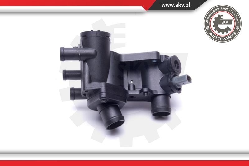 Thermostat, coolant