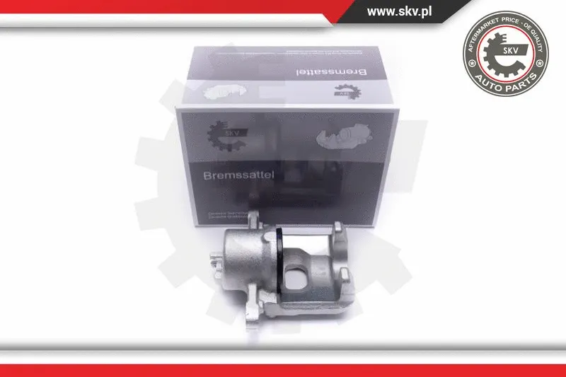 Brake Caliper (56SKV012)