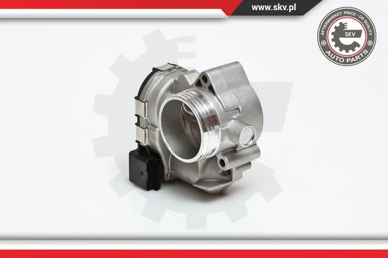 Throttle Body