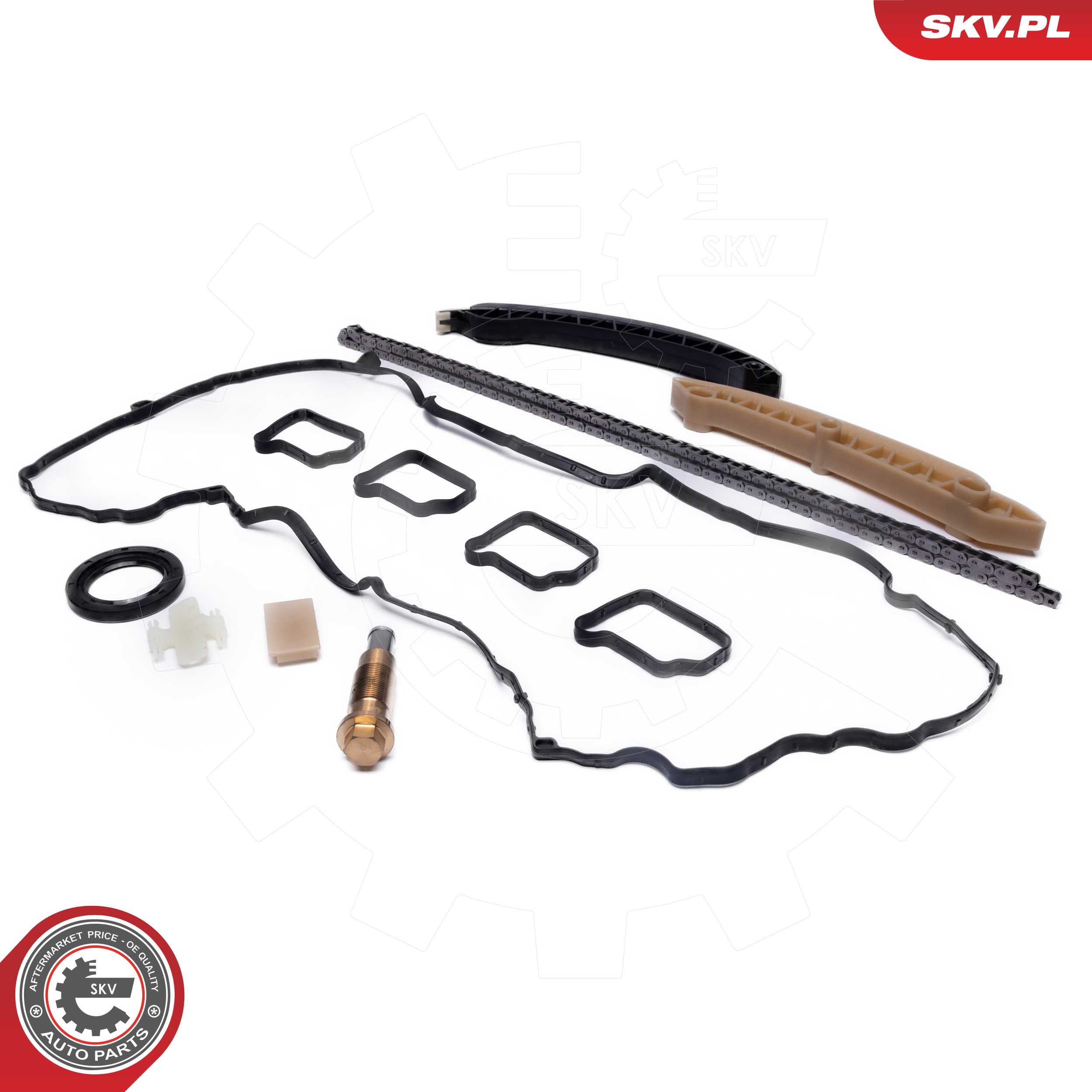Timing Chain Kit
