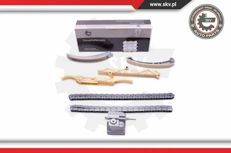 Timing Chain Kit (21SKV138)