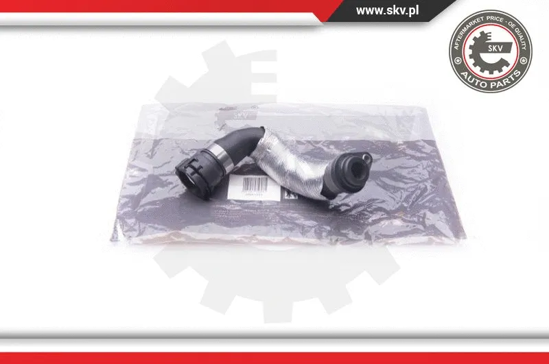 Radiator Hose