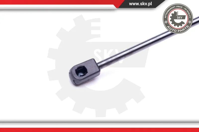 Gas Spring, boot/cargo area