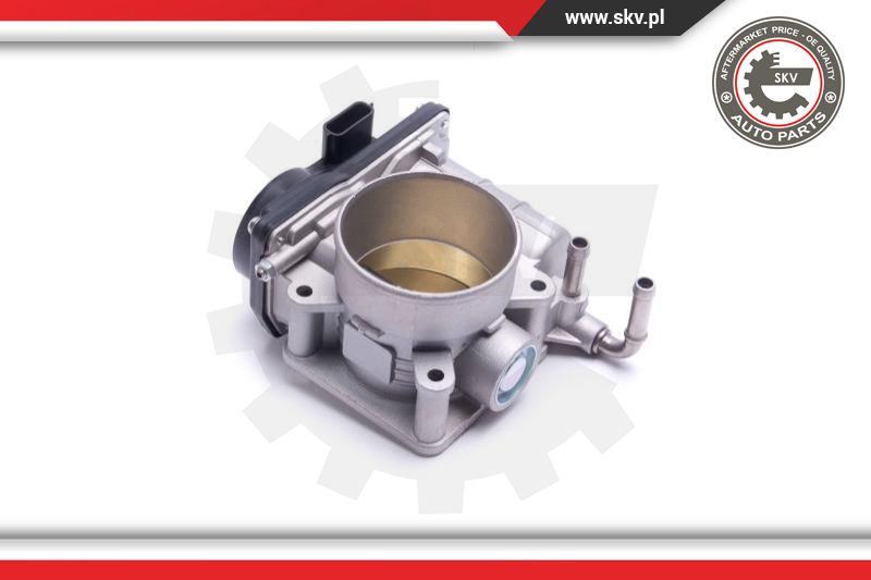 Throttle Body