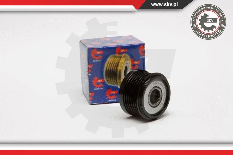 Alternator Freewheel Clutch (11SKV016)