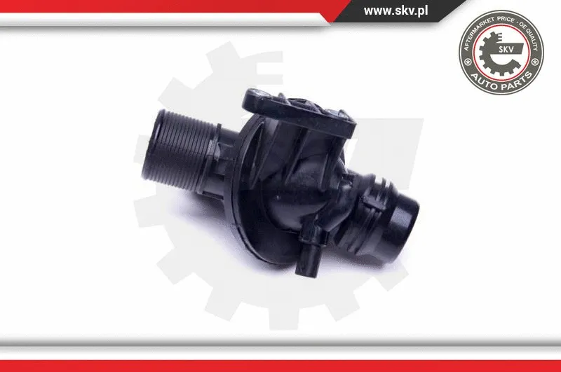 Thermostat, coolant