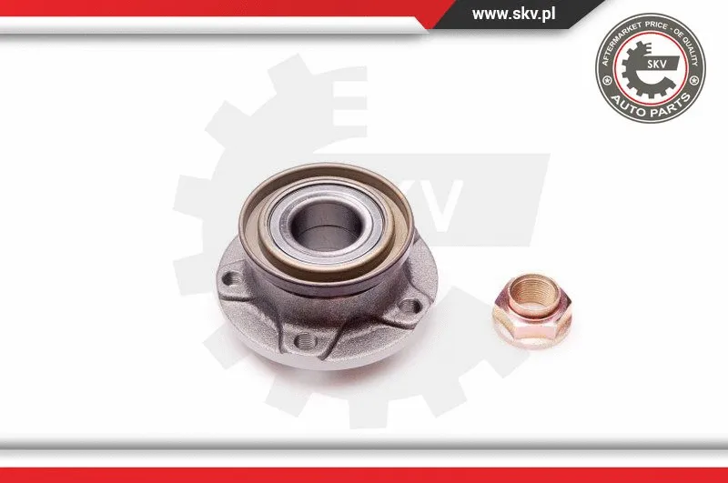 Wheel Bearing Kit