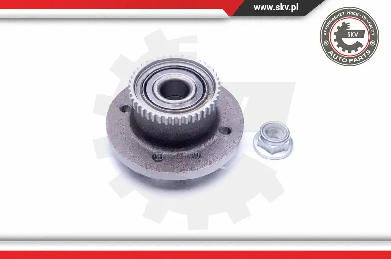 Wheel Bearing Kit