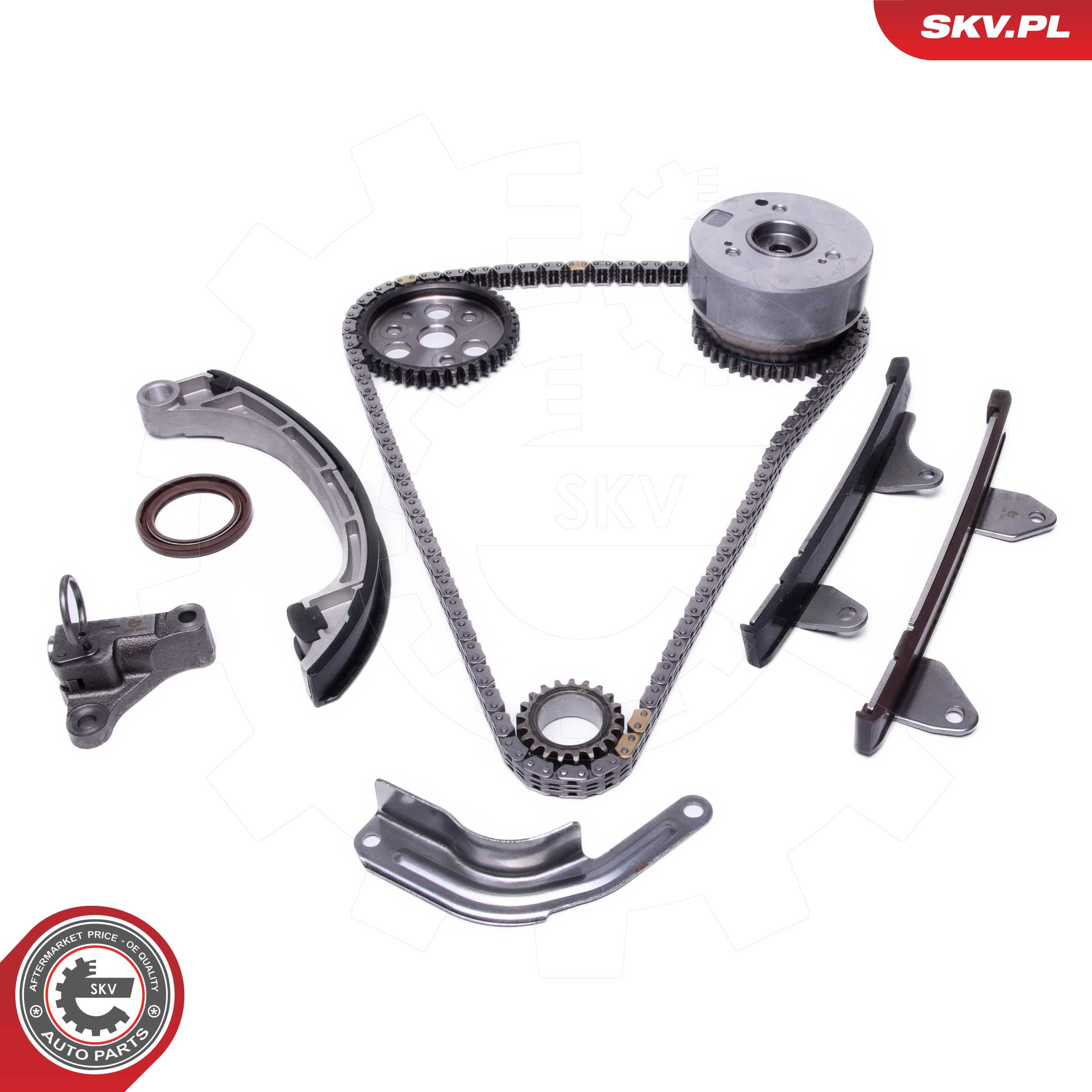 Timing Chain Kit