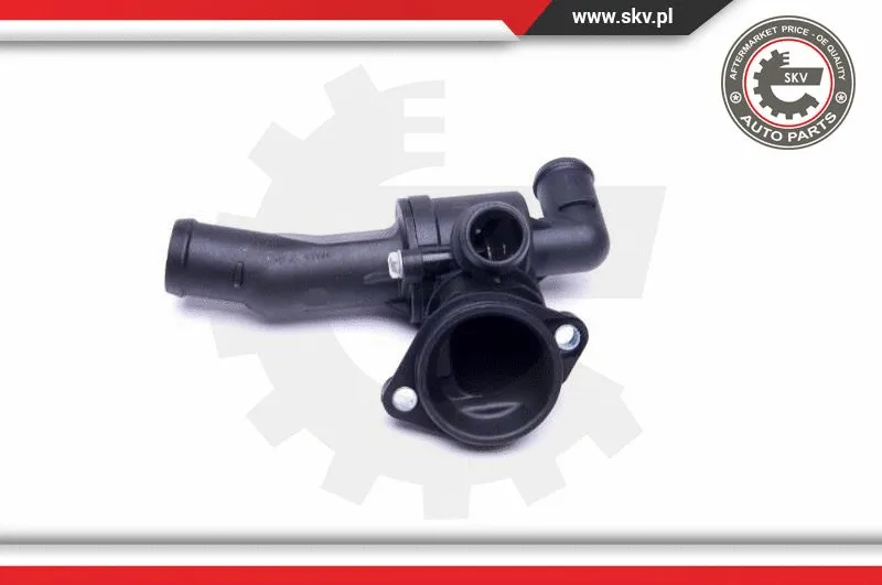 Thermostat, coolant
