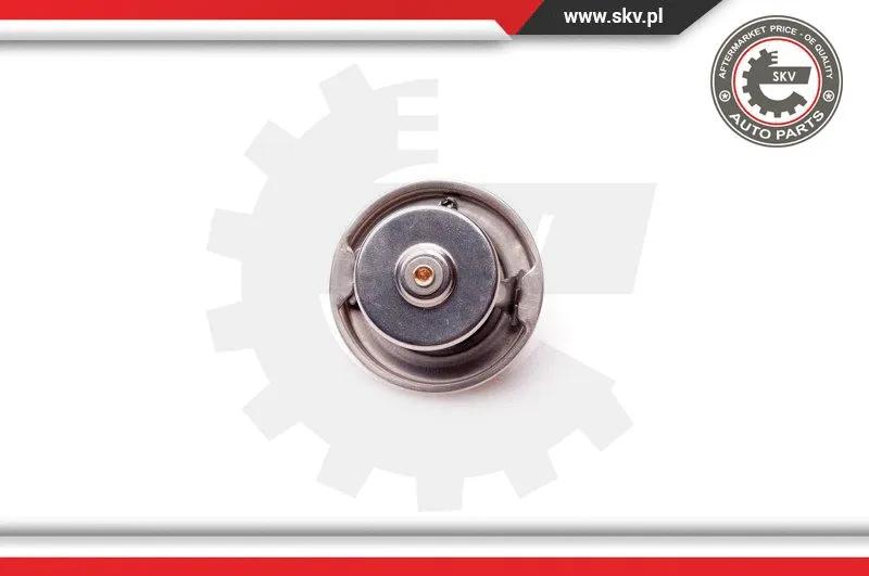 Thermostat, coolant (20SKV048)