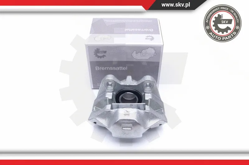 Brake Caliper (45SKV061)