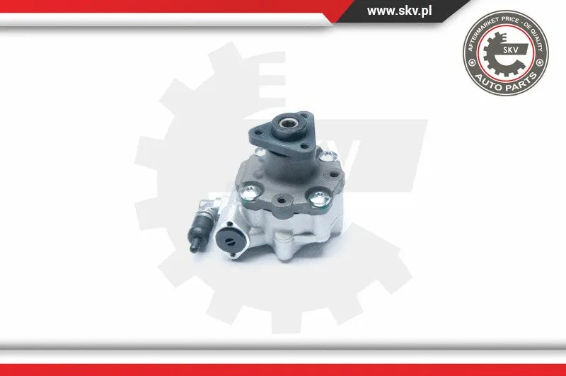 Hydraulic Pump, steering (10SKV186)