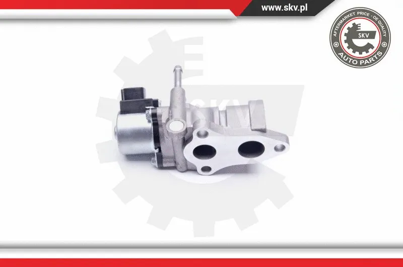 EGR Valve