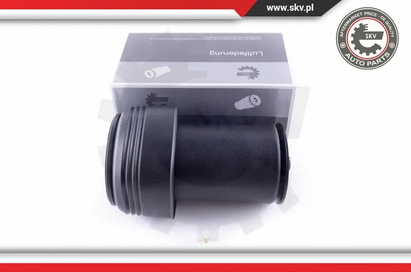 Air Spring, suspension (58SKV028)