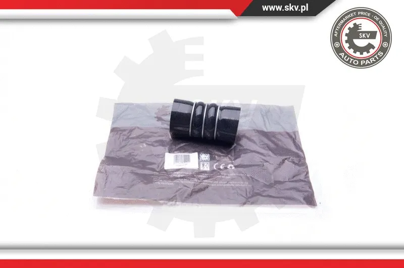 Charge Air Hose (24SKV126)