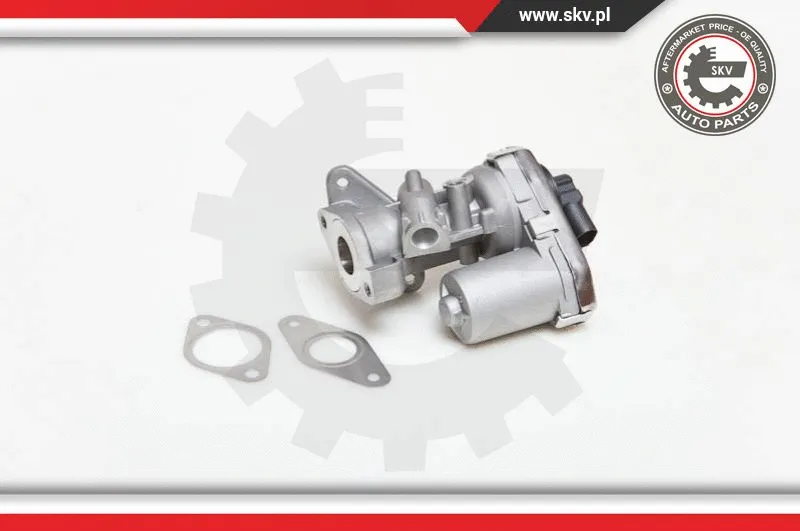 EGR Valve