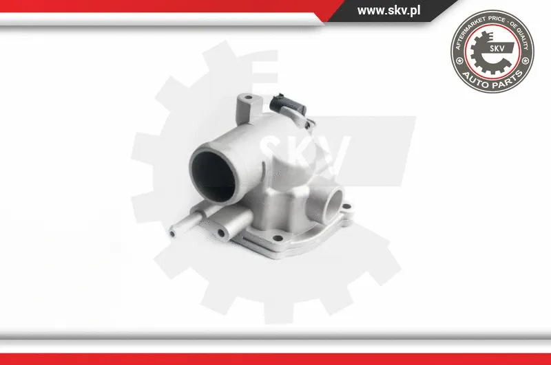 Thermostat, coolant