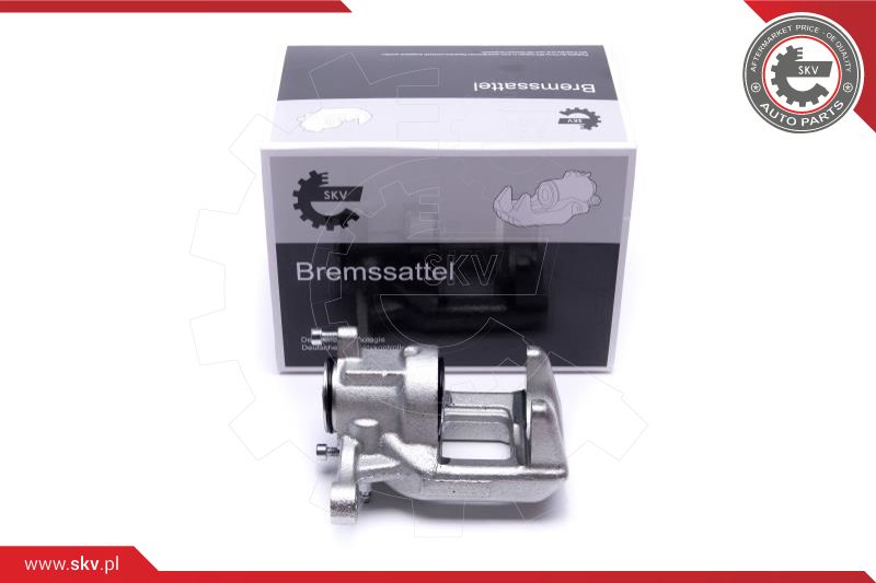 Brake Caliper (44SKV474)