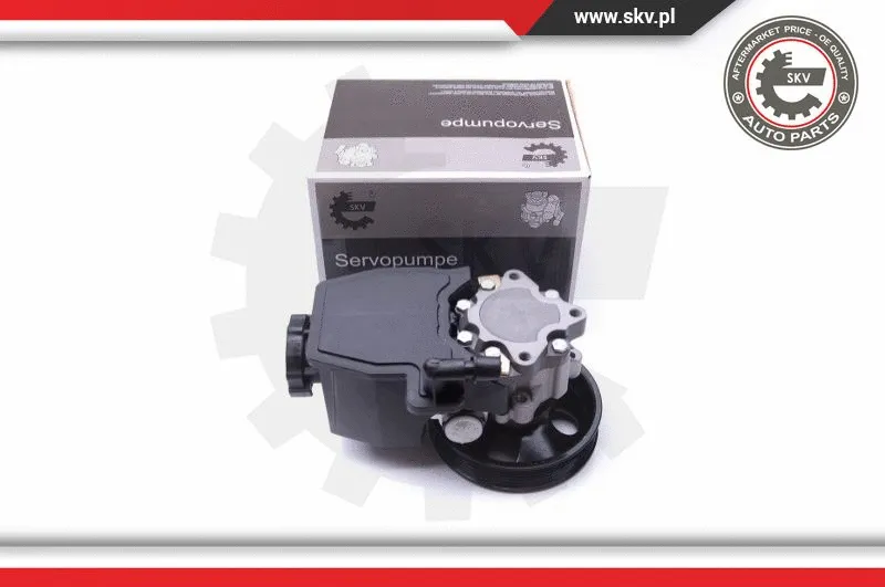 Hydraulic Pump, steering (10SKV269)