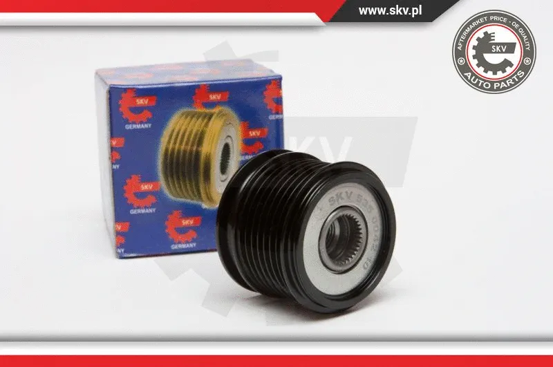 Alternator Freewheel Clutch (11SKV022)