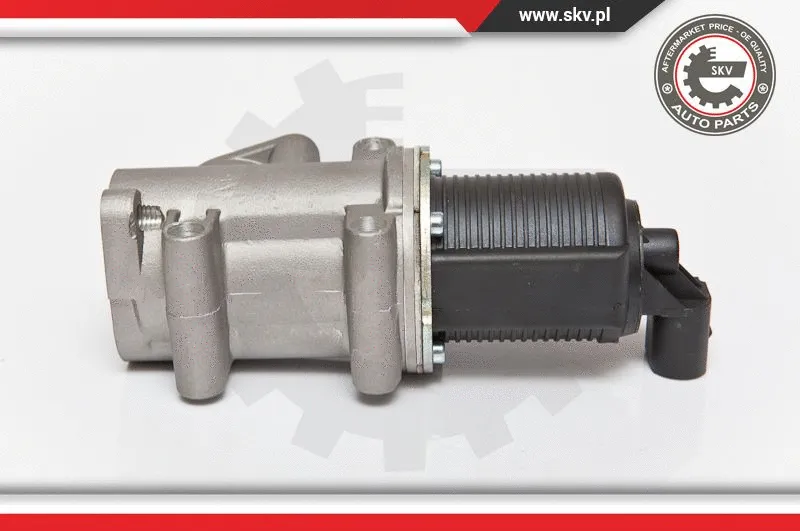EGR Valve (14SKV076)