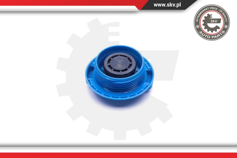 Cap, coolant tank