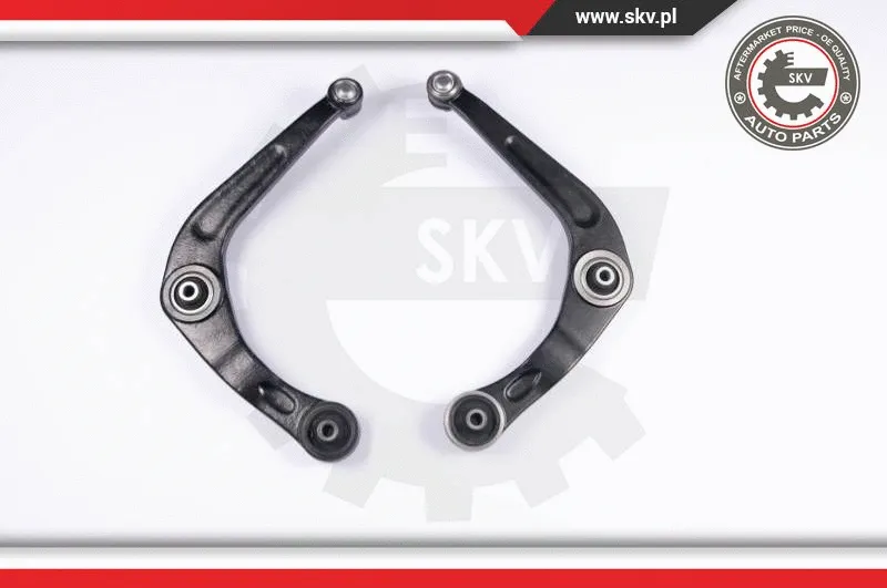 Repair Kit, control arm (04SKV180)