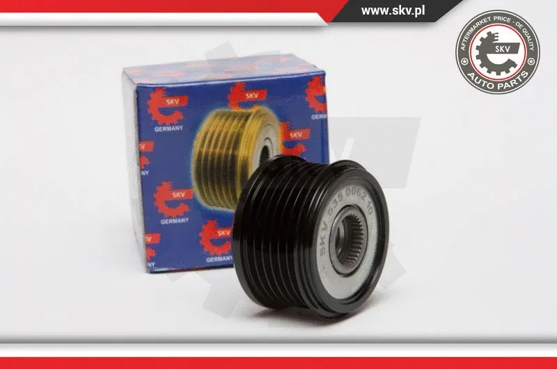 Alternator Freewheel Clutch (11SKV031)