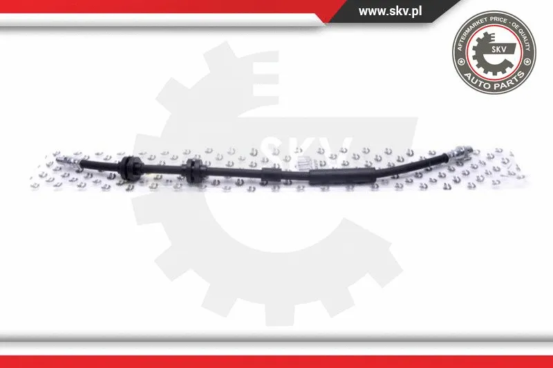 Brake Hose (35SKV151)