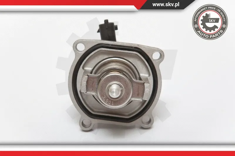 Thermostat, coolant (20SKV008)