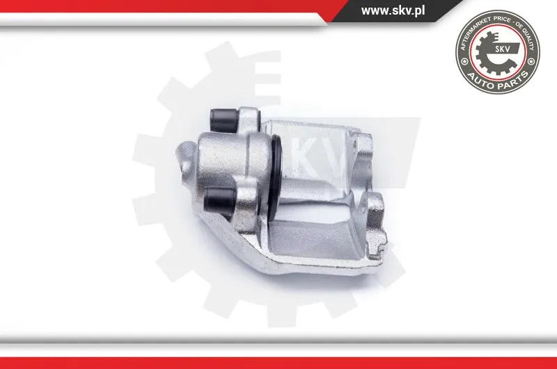 Brake Caliper (42SKV031)