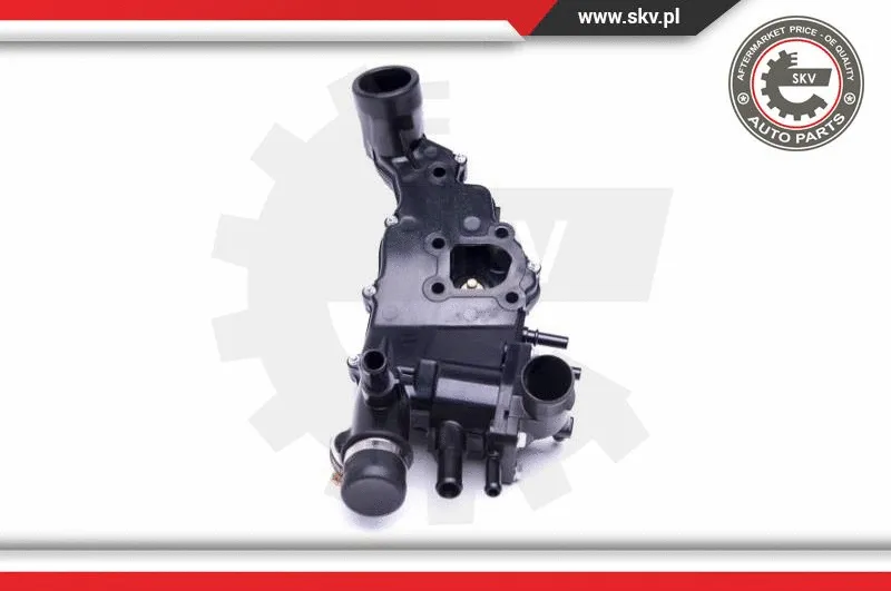 Thermostat, coolant
