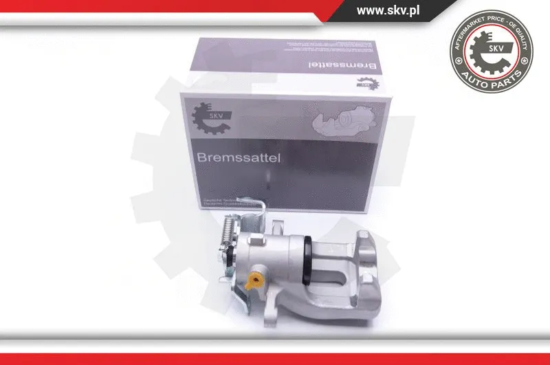 Brake Caliper (42SKV403)
