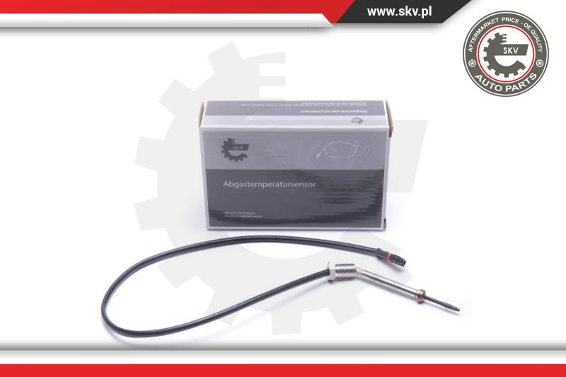 Sensor, exhaust gas temperature (30SKV245)