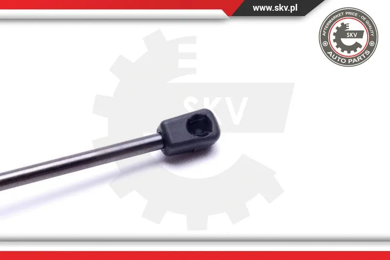 Gas Spring, boot/cargo area