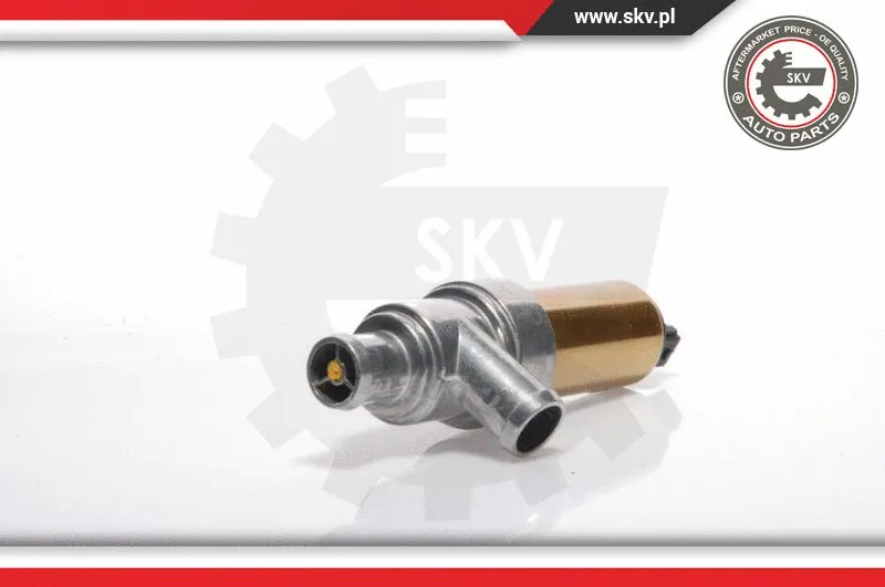 Idle Control Valve, air supply (08SKV211)