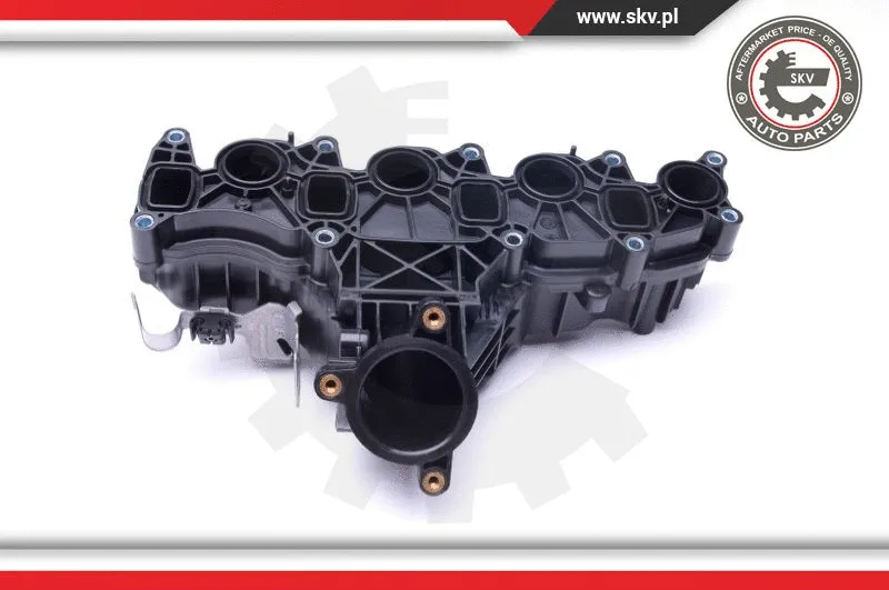 Intake Manifold Module