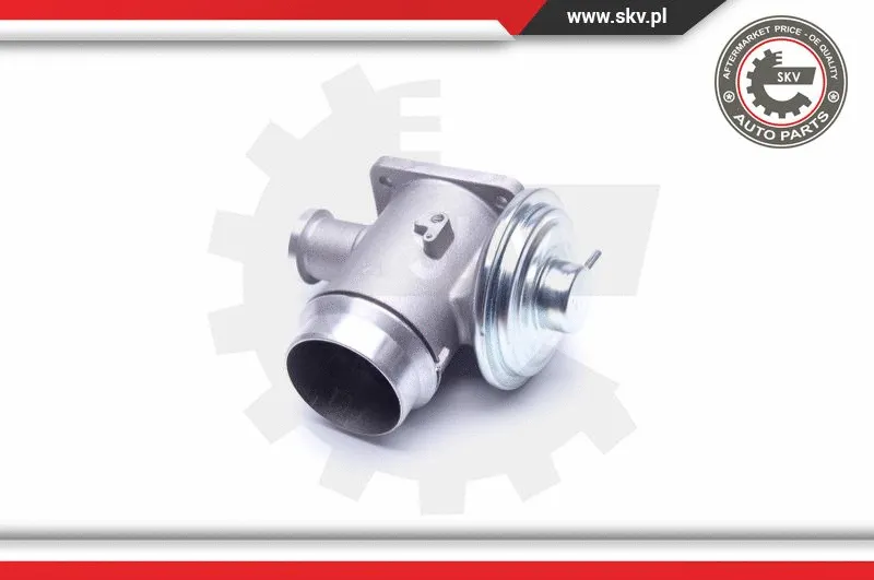 EGR Valve