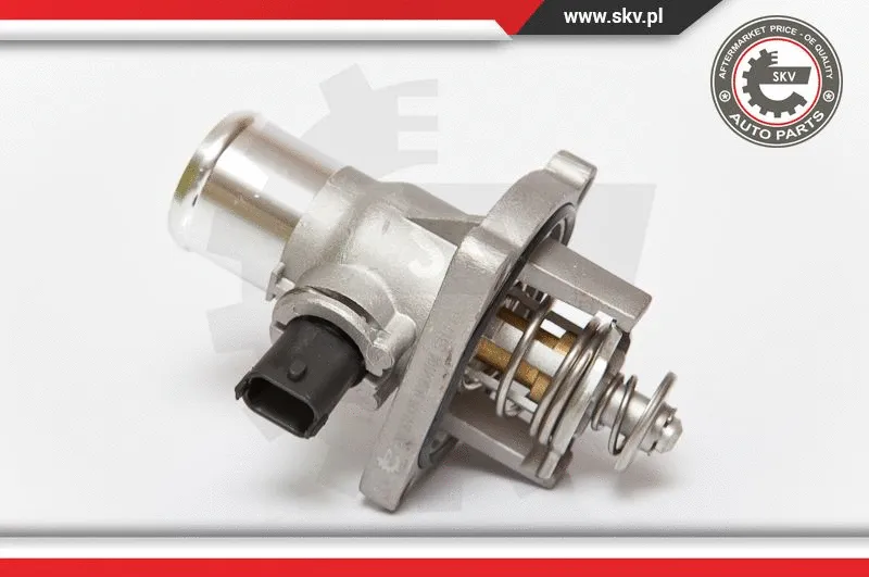 Thermostat, coolant