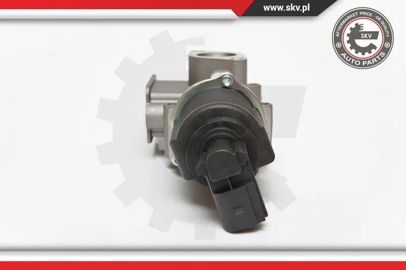 EGR Valve