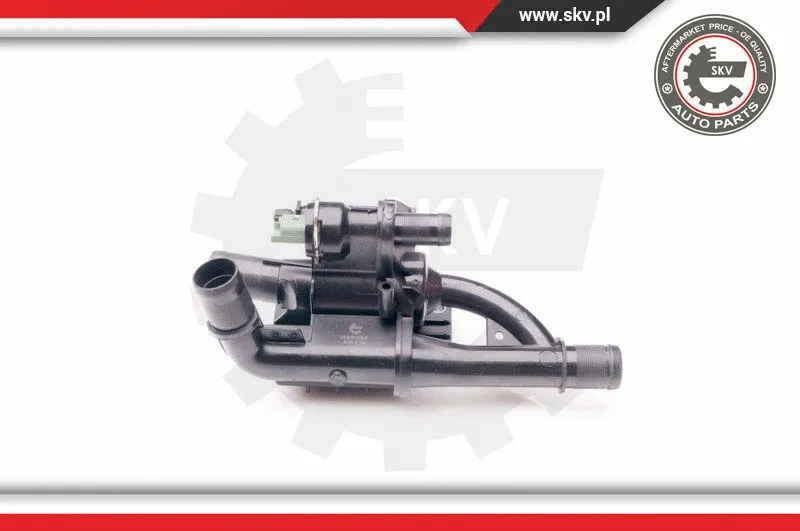 Thermostat, coolant