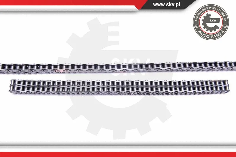 Timing Chain Kit