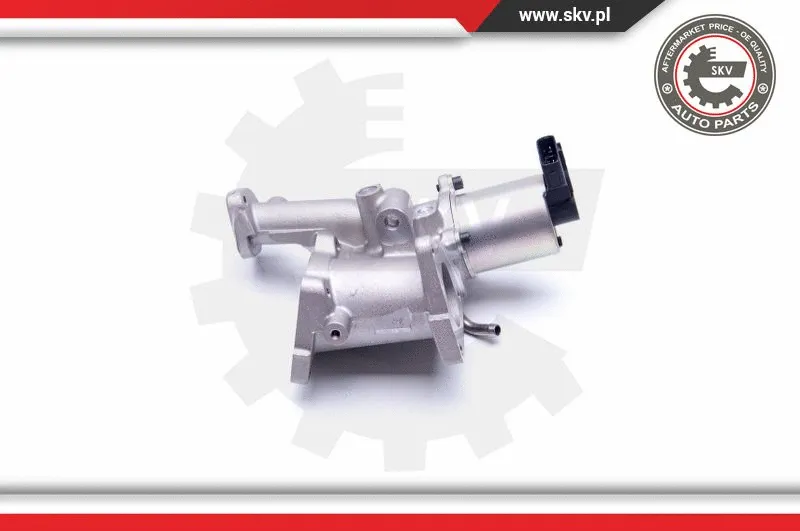 EGR Valve