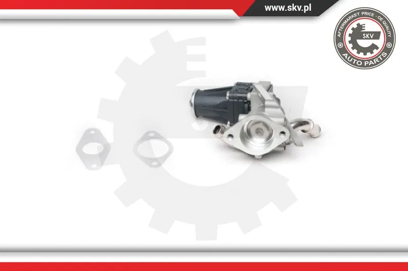 EGR Valve (14SKV100)