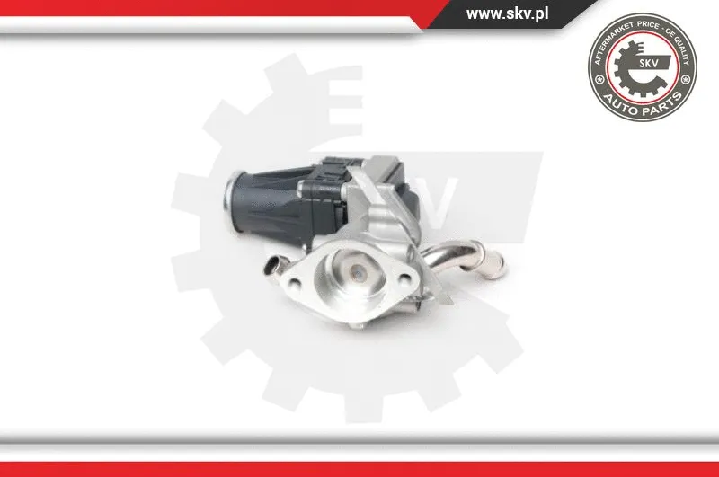 EGR Valve