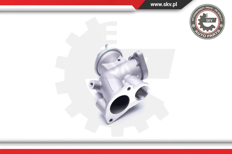 EGR Valve